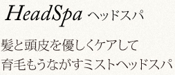 HeadSpa ヘッドスパ 髪と頭皮を優しくケアする、
癒しとくつろぎのミストヘッドスパ